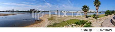 香櫨園浜(御前浜)と澄み渡る青空/兵庫県西宮市 香櫨園浜(御前浜)と澄み渡る青空/兵庫県西宮市 31824089