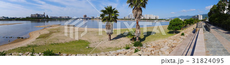 香櫨園浜(御前浜)と澄み渡る青空/兵庫県西宮市 香櫨園浜(御前浜)と澄み渡る青空/兵庫県西宮市 31824095