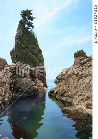 笹川の流れ 笹川の流れ 31824315