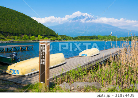 富士山　田貫湖　ボート　桟橋 31824439