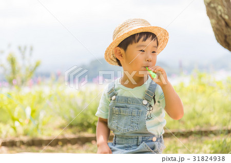 子供 男の子 3歳児 公園 シャボン玉 子供 男の子 3歳児 公園 シャボン玉 31824938