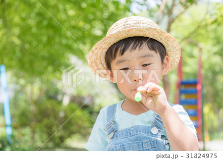 子供　男の子　3歳児　公園　シャボン玉 31824975