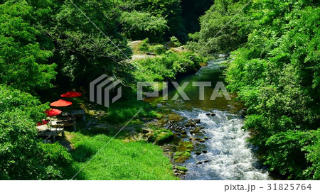 癒し空間 31825764