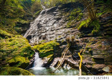 四国の名山、赤星山の千丈滝（せんじょうだき）【赤星山1,453m】 31825841