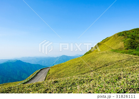 瓶ヶ森林道 31826111