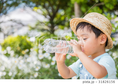 子供　男の子　3歳児　公園　水　 31826156