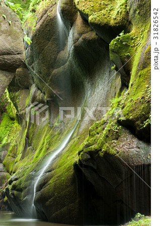 由布渓谷 由布渓谷 31826542