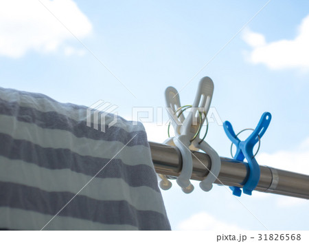 物干し竿　洗濯ピンチ 31826568