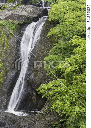 袋田の滝の一条の流れ 31826822