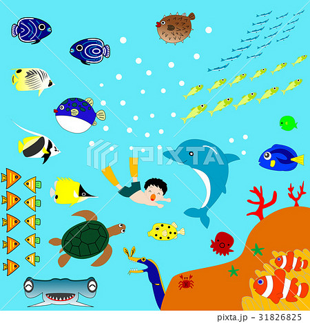 海のイメージ 31826825