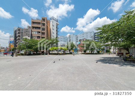 東京都墨田区、錦糸堀公園 31827350