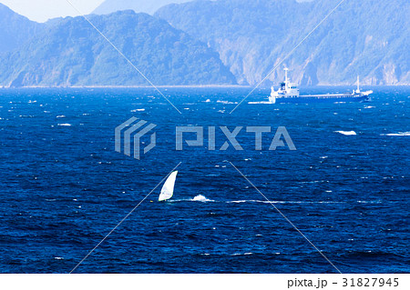 福岡県若松区岩屋海岸 福岡県若松区岩屋海岸 31827945