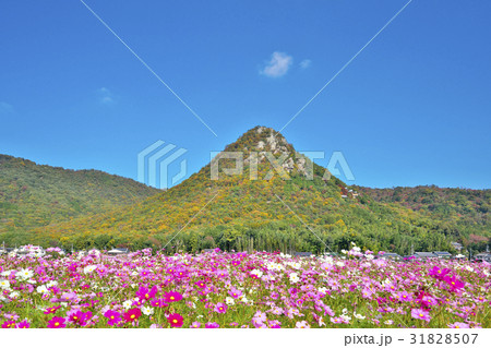 錦秋の太郎坊宮 錦秋の太郎坊宮 31828507