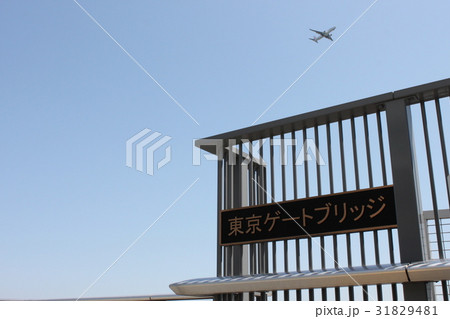 東京ベイブリッジ 東京ベイブリッジ 31829481