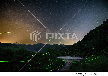 天の川とホタル 天の川とホタル 31829575
