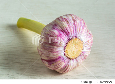 Garlic, macro 31829959