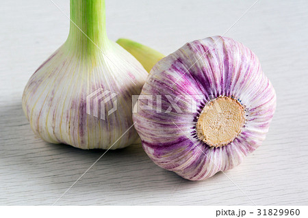 Ripe garlic, macro 31829960
