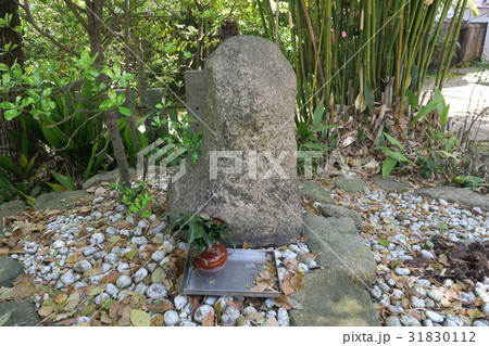 豊崎神社~神石~ 豊崎神社~神石~ 31830112