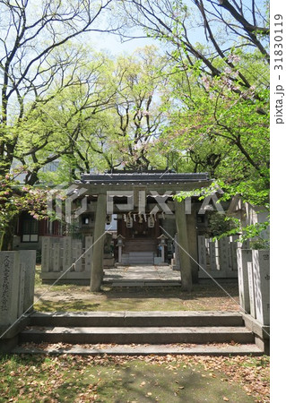 豊崎神社~鹿島神社~ 豊崎神社~鹿島神社~ 31830119