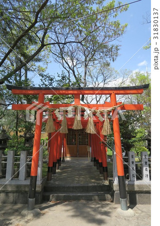 豊崎神社~稲荷社~ 豊崎神社~稲荷社~ 31830137