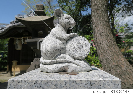 豊崎神社 豊崎神社 31830143
