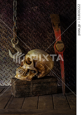 Still Life with a Skull. Still Life with a Skull. 31830222
