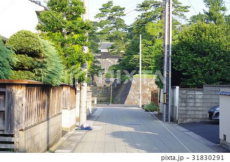 カーブミラー 31830291