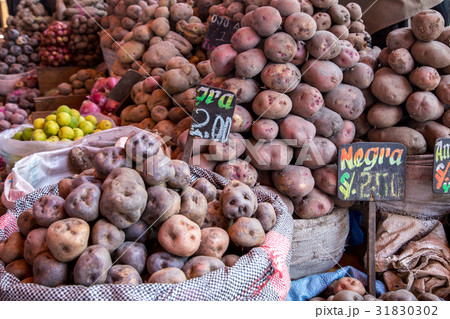 Bags of Potatoes 31830302