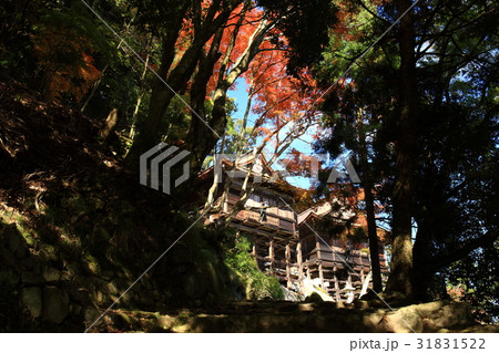 日吉大社より 31831522