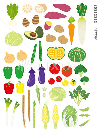 いろいろな野菜のイラスト素材