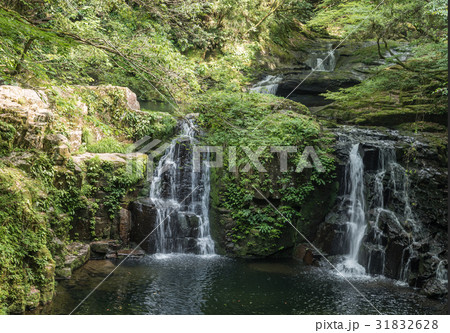 初夏の赤目渓谷と滝 初夏の赤目渓谷と滝 31832628