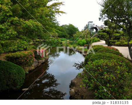 Jogging Sport Exercise Park way side Lake 31833135