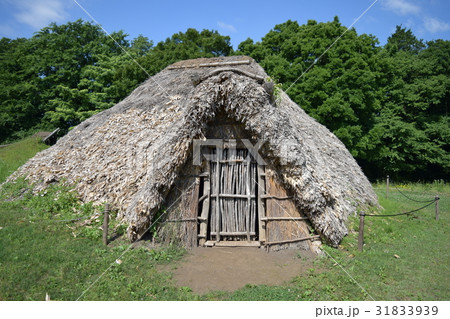 勝坂遺跡 竪穴住居(復元) 勝坂遺跡 竪穴住居(復元) 31833939