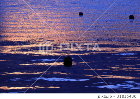 夕暮れの海 夕暮れの海 31835430