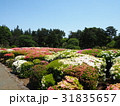 庭園 31835657