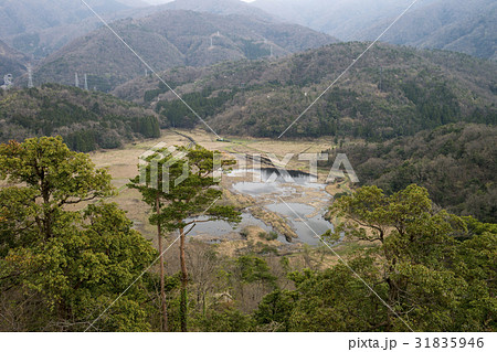敦賀市天筒山展望台から眺める中池見湿地 敦賀市天筒山展望台から眺める中池見湿地 31835946