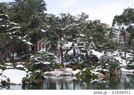 雪化粧の縮景園 雪化粧の縮景園 31836051