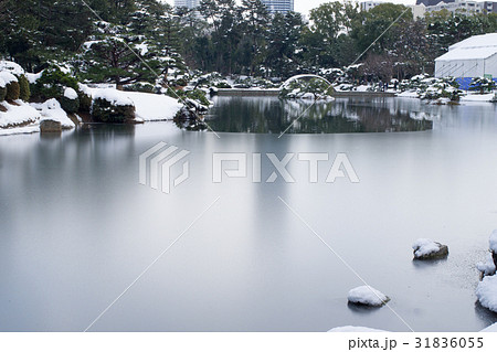 雪化粧の縮景園 雪化粧の縮景園 31836055