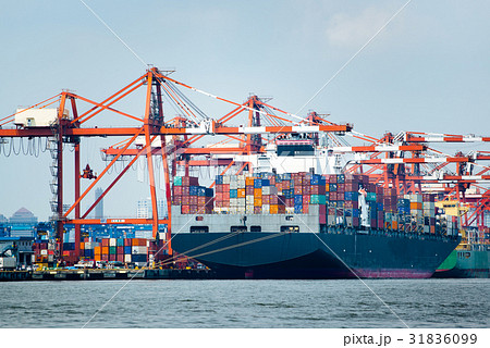 ガントリークレーンとコンテナ船 ガントリークレーンとコンテナ船 31836099