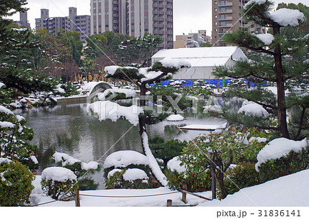 雪化粧の縮景園 雪化粧の縮景園 31836141