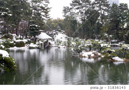 雪化粧の縮景園 雪化粧の縮景園 31836143