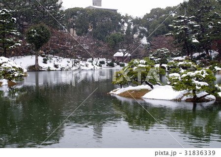 雪化粧の縮景園 31836339
