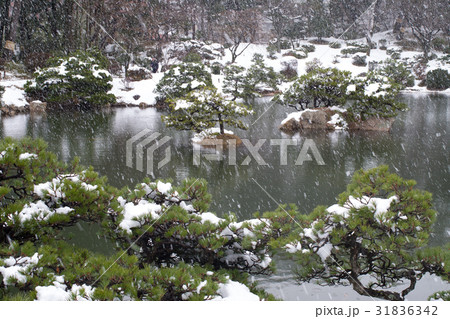 雪化粧の縮景園 31836342