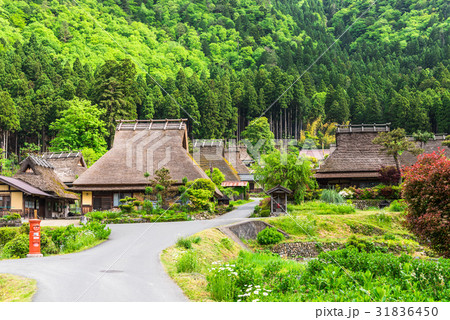 日本の原風景　美山 31836450