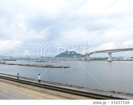 海田大橋 海田大橋 31837106