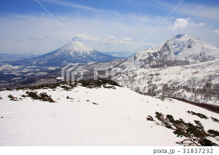 早春のニセコワイスホルンから見る羊蹄山 早春のニセコワイスホルンから見る羊蹄山 31837232
