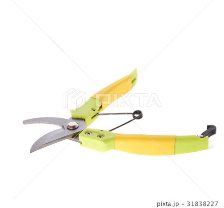 A new scissor isolated on white 31838227