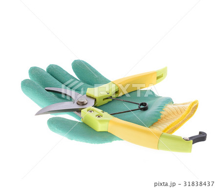 A new scissor and glove isolated on white 31838437