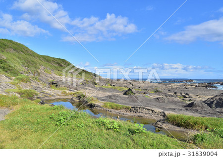城ヶ島の海食台と馬の背洞門 31839004