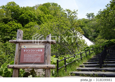 オシンコシンの滝 31839981